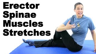 Erector Spinae Muscles Stretches  Ask Doctor Jo [upl. by Maisey907]