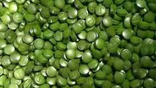 The Wonders of Chlorella [upl. by Tiena]