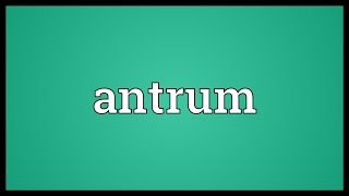 Antrum Meaning [upl. by Tereve]