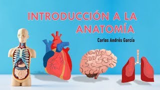 ¡INTRODUCCIÓN A LA ANATOMÍA HUMANA [upl. by Chilt]