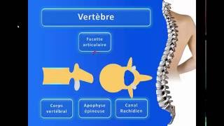 La Colonne Vertébrale [upl. by Yentnuoc]
