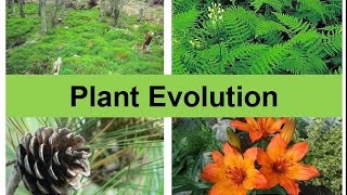 Plant Evolution updated [upl. by Jonny295]