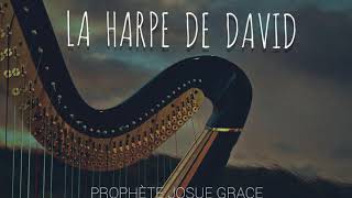 LA HARPE DE DAVID  Instrumentale Apaisante Prophete Josue Grace [upl. by Clayton]