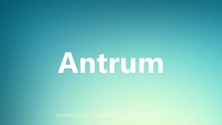 Antrum  Medical Definition [upl. by Novyat672]