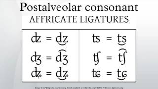 Postalveolar consonant [upl. by Uel]