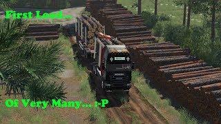 FS19  Forestry On Holmåkra  First Load  Timelapse  S02 EP22 [upl. by Sinclare]