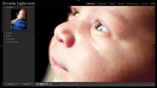 Lightroom 5 Cómo hacer Zoom en Lightroom [upl. by Lledo838]
