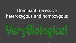 dominant recessive heterozygous and homozygous English [upl. by Nellie]