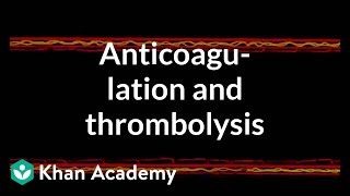 Anticoagulation and thrombolysis  Health amp Medicine  Khan Academy [upl. by Kela346]