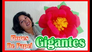 DIY  Como Hacer Flores De Papel Crepe  GIGANTES [upl. by Eachelle873]