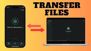 How To Share Files Between Phone and PC in Seconds [upl. by Alleahcim]