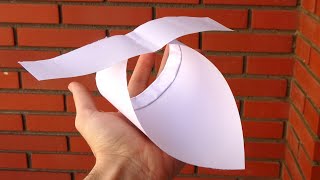 Cómo hacer un Avión de Papel en forma de pájaro [upl. by Aifos248]