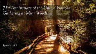 United Nations in Muir Woods 75th Anniversary Video 1 of 3 [upl. by Ahtabbat365]