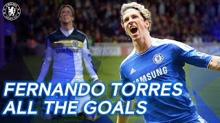 Fernando Torres  All the Goals  Best Goals Compilation  Chelsea FC [upl. by Tesil]