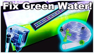 How to Fix Green Water in Your Fish Tank [upl. by Zerdna880]