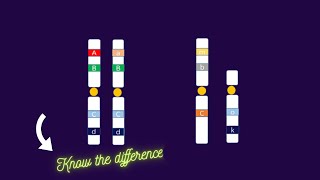 Heterozygous vs Hemizygous genotype alleles homozygous [upl. by Leirbma]