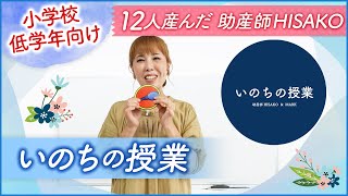 【小学校低学年向け】いのちの授業 [upl. by Assilen]