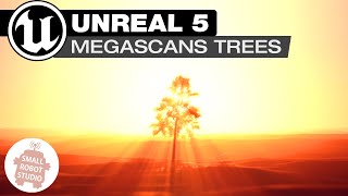 Unreal 5 Importing Megascans Trees Tutorial [upl. by Sarah]