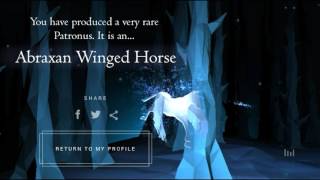 All Patronuses on Pottermore [upl. by Eduardo]