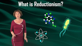 What is Reductionism [upl. by Chico201]