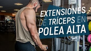 Extensión de Tríceps en Polea Alta  Agarre InvertidoSupinación  Ejercicio para Tríceps [upl. by Whetstone]