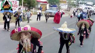 DÍA DEL TECUÁN ACATLÁN DE OSORIO PUEBLA 2018 [upl. by Ehrsam]