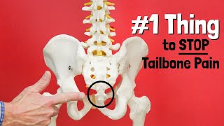 1 Thing to STOP Tailbone or Sit Bone Pain  Giveaway [upl. by Rudin]