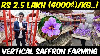 Vertical Saffron Farming  Indoor Hydroponic Saffron Cultivation  How to grow Saffron [upl. by Ahsinrats]