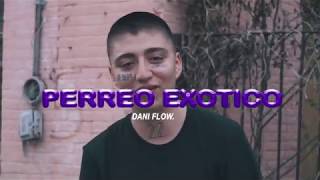 Perreo Exótico  Dani Flow Official Video [upl. by Inafit]