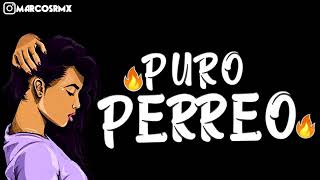 PURO PERREO 9🔥 BRASILERO 2019 MARCOS RMX [upl. by Amaleta]