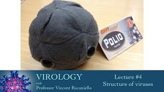 Virology 2014 Lecture 4  Structure of viruses [upl. by Eiramlehcar]