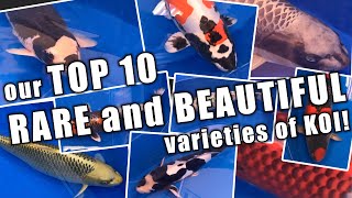 Our TOP 10 RARE and BEAUTIFUL varieties of KOI [upl. by Ardella972]