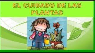 ✨ CUIDADO DE LAS PLANTAS ✨ EXPLICACIÓN PARA NIÑOS [upl. by Toile]