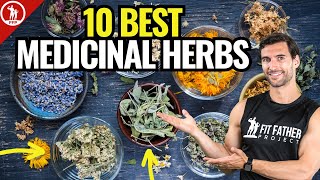 Top 10 Best Medicinal Herbs  For Health amp Vitality [upl. by Direj]