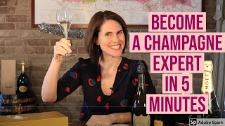 Understanding Champagne in 5 minutes or less [upl. by Etti]