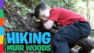 Hiking Muir Woods Things to Do in San Francisco with Kids Family Fun Adventure Outside by ToyRap [upl. by Neeuq]