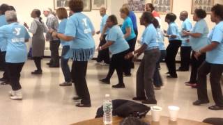 quotRoll it Roll itquot WEY Line dancers [upl. by Chud]