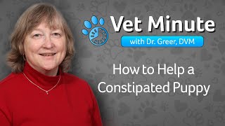 Vet Minute How to Help a Constipated Puppy [upl. by Casar]