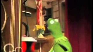 Kermit the Frog Gets in a Fight at Walmart [upl. by Andriette]