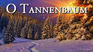 O Tannenbaum 🎄 German Christmas SongLyrics [upl. by Euqenimod713]