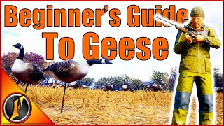 A Beginners Guide to Hunting Geese  Beginner Series Revamped [upl. by Oxley]