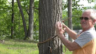 29 Girth hitch knot Ropeman ascender vs Prussic knot plus a Kill story [upl. by Clift]