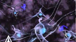 How Neurotransmission amp brain signals work  3D animation [upl. by Fitz]