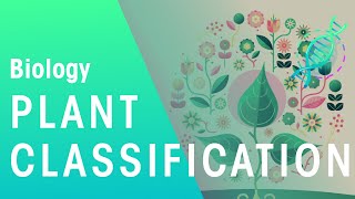 Plant Classification  Evolution  Biology  FuseSchool [upl. by Anahcra]