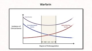 Webinar  Whats New in Anticoagulation Therapy [upl. by Hoskinson]