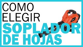 SOPLADORES de HOJAS 👉 ¿Cómo Elegir un SOPLADOR de HOJAS 🏆 [upl. by Stasny]