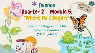 SCIENCE  GRADE 4  QUARTER 2  MODULE 5 “Where Do I Begin” [upl. by Averil]