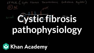 Cystic fibrosis pathophysiology  Respiratory system diseases  NCLEXRN  Khan Academy [upl. by Accebar529]