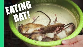 Eating Rat in Vietnam [upl. by Moulden]