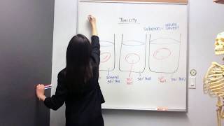 Tonicity Hypertonic Hypotonic and Isotonic Solutions [upl. by Micco290]